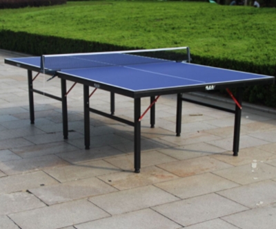 Ordinary Folding Table Tennis Table